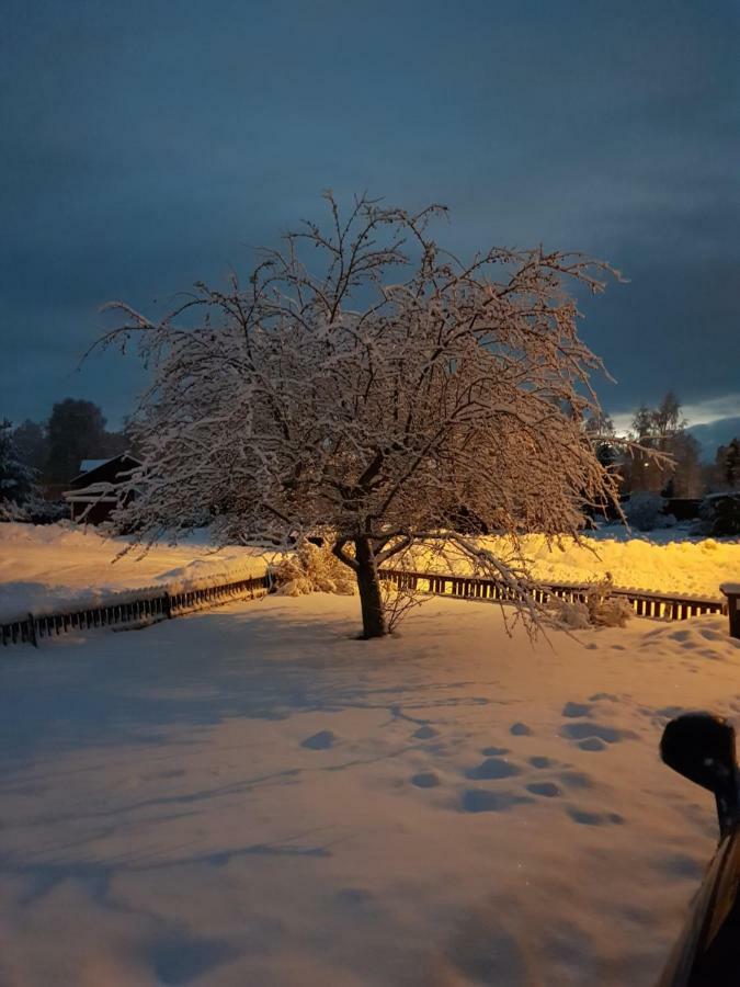 B&B Mora Exteriör bild